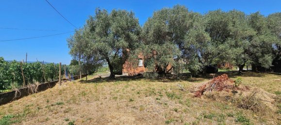 10 rooms Villa in Luni, Italy No. 263409 35