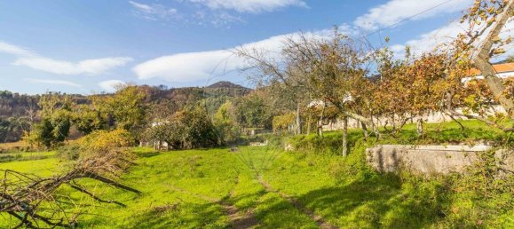 4 Schlafzimmer Haus in Baiao, Portugal, Nr. 188050 13