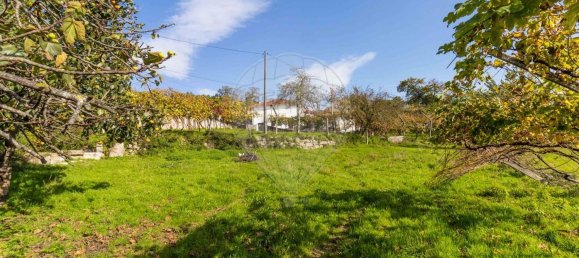 4 Schlafzimmer Haus in Baiao, Portugal, Nr. 188050 12