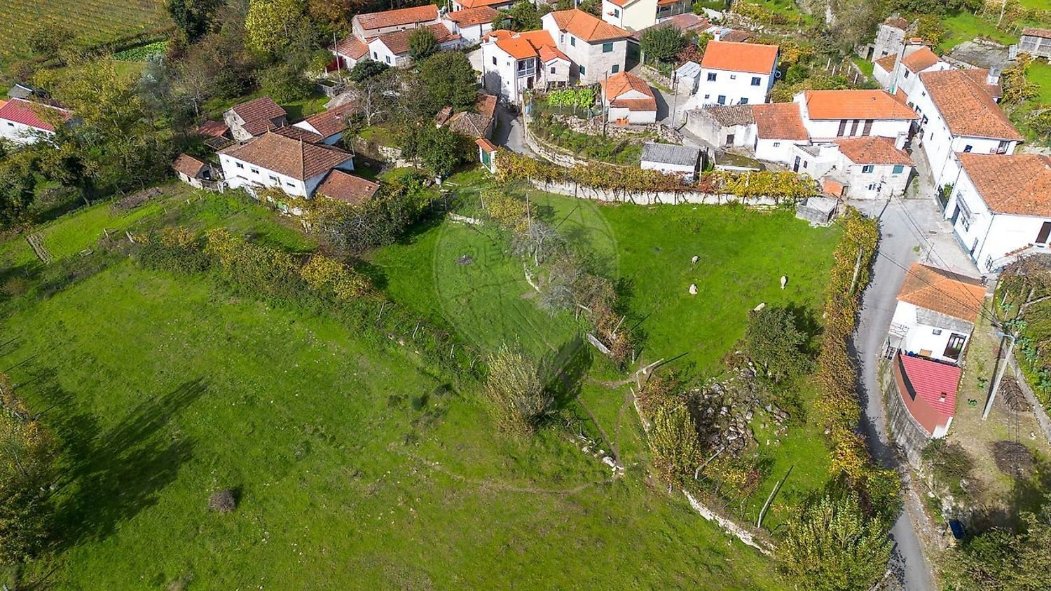 4 Schlafzimmer Haus in Baiao, Portugal, Nr. 188050