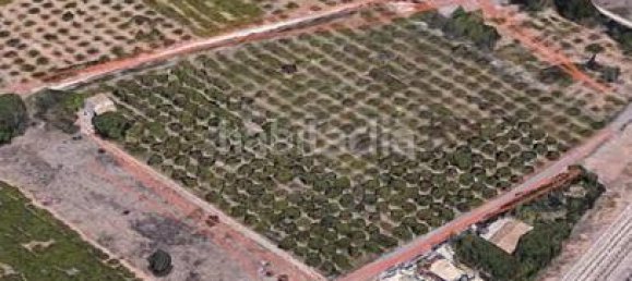Terrain à Castellon de la Plana, Spain 11632m² No. 91518 10