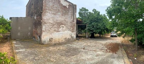 Terrain à Castellon de la Plana, Spain 11632m² No. 91518 15