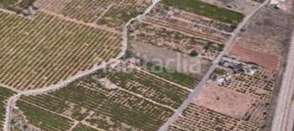 Terrain à Castellon de la Plana, Spain 11632m² No. 91518 11