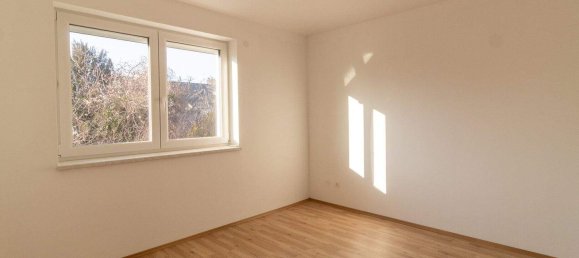 5 rooms House in Hagenbrunn, Austria No. 131688 7