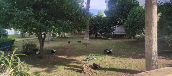 Apartment 2+1 in Mersin, Turkey No. 21731 12