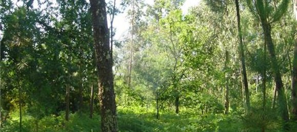 2775m² Land in Vila Verde, Portugal No. 31203 7