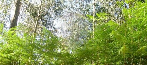 2775m² Land in Vila Verde, Portugal No. 31203 3