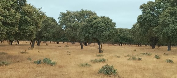 Grundstück in Ciudad Rodrigo, Spain 500000m², Nr. 191498 2