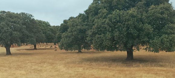 Grundstück in Ciudad Rodrigo, Spain 500000m², Nr. 191498 5