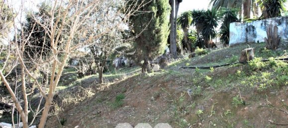 6 bedrooms House in Benajarafe, Spain No. 56822 116