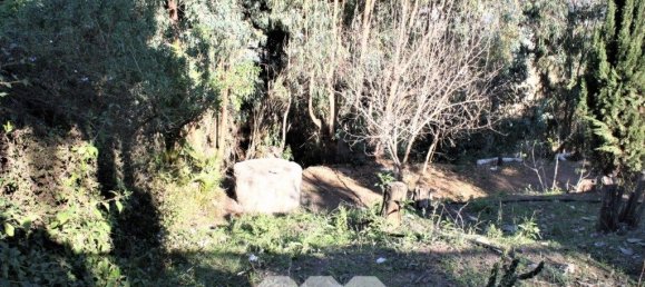 6 bedrooms House in Benajarafe, Spain No. 56822 106