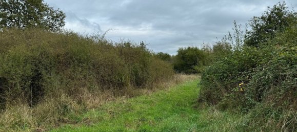 Terrain à Romorantin-Lanthenay, France No. 42361 2