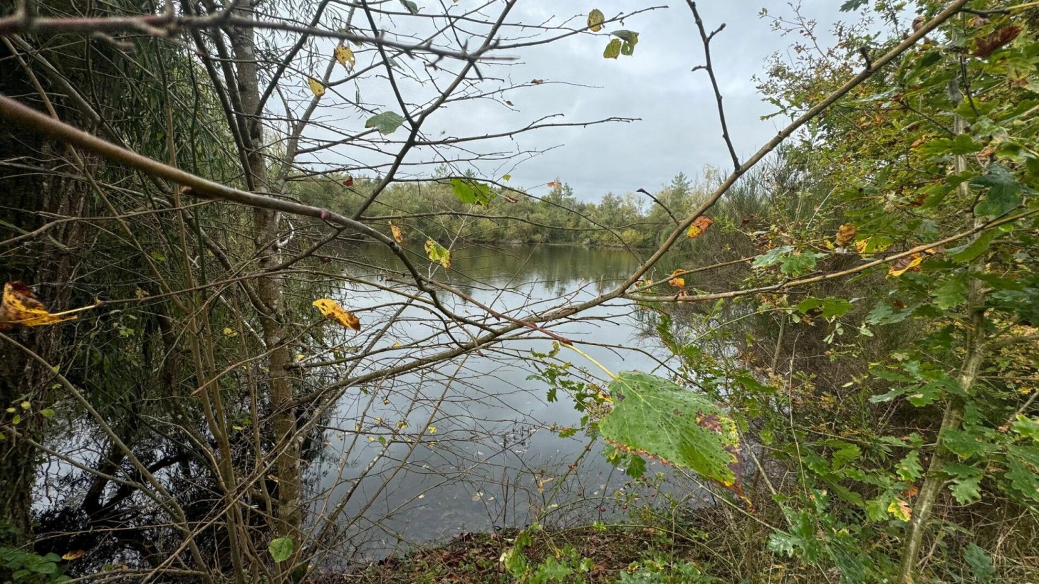 Terrain à Romorantin-Lanthenay, France No. 42361