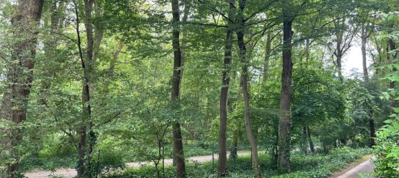 2 chambres Appartement à Frankfurt am Main, Germany No. 310770 9