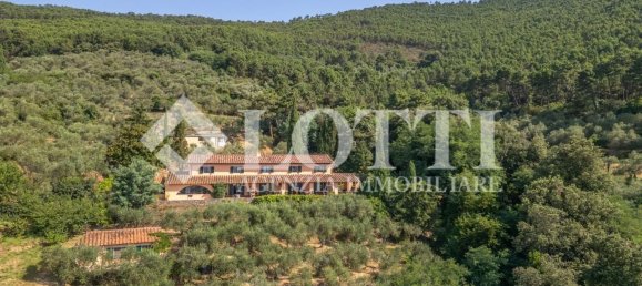 10 غرف نوم منزل في Vicopisano, Italy رقم 343668 6