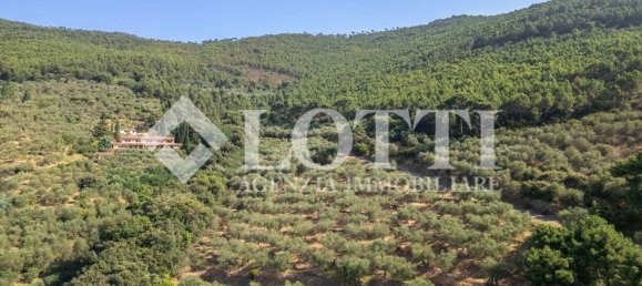 10 غرف نوم منزل في Vicopisano, Italy رقم 343668 4