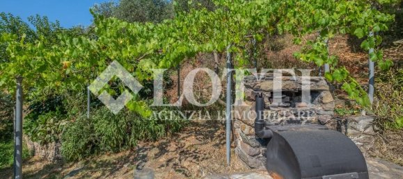 10 غرف نوم منزل في Vicopisano, Italy رقم 343668 34