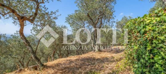 10 غرف نوم منزل في Vicopisano, Italy رقم 343668 39