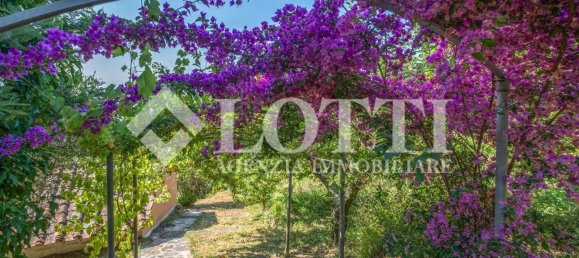 10 غرف نوم منزل في Vicopisano, Italy رقم 343668 36