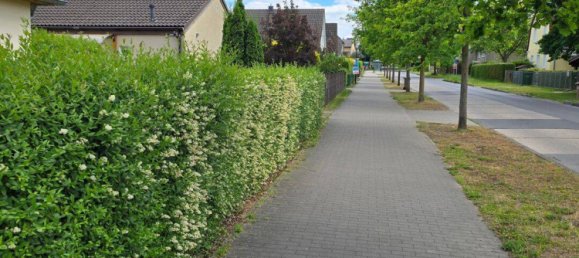 1 bedroom Bungalow in Barnim, Germany No. 52493 9