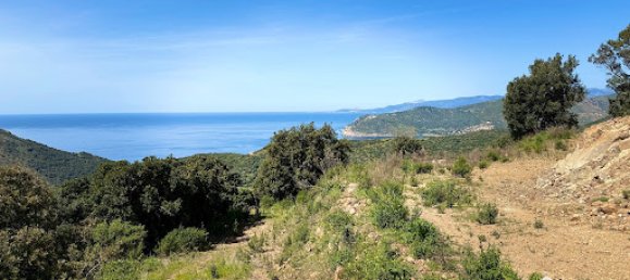 11000m² Land in Villanova, France No. 263562 5