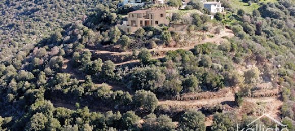 11000m² Land in Villanova, France No. 263562 16