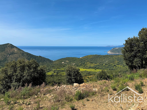 11000m² Land in Villanova, France No. 263562