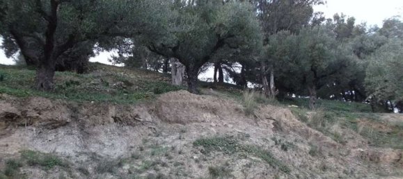 قطعة أرض في Zakynthos, Greece رقم 470 8