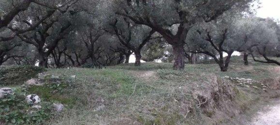 قطعة أرض في Zakynthos, Greece رقم 470 5