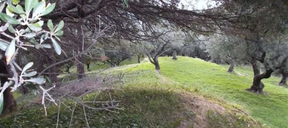 قطعة أرض في Zakynthos, Greece رقم 470 14