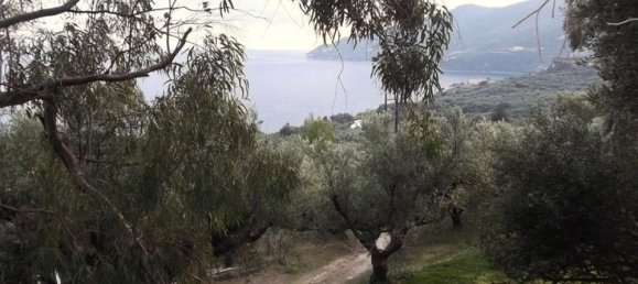 قطعة أرض في Zakynthos, Greece رقم 470 13
