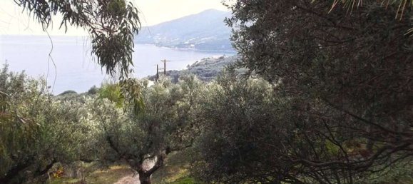  Hotel in Zakynthos, Greece No. 470 9