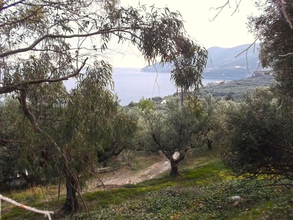  قطعة أرض في Zakynthos, Greece رقم 470