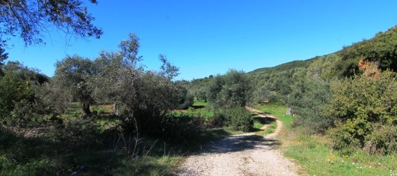 44000m² Hotel in Corfu, Greece No. 6427 9