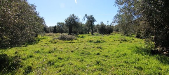 44000m² Hotel in Corfu, Greece No. 6427 6