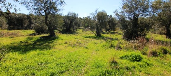 44000m² Hotel in Corfu, Greece No. 6427 3