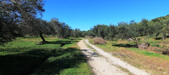 44000m² Hotel in Corfu, Greece No. 6427 10