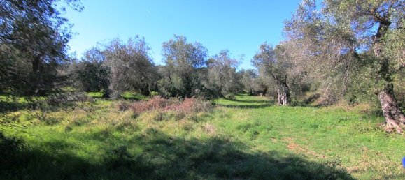 44000m² Hotel in Corfu, Greece No. 6427 7