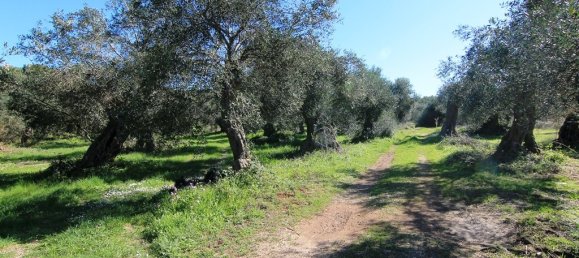 44000m² Hotel in Corfu, Greece No. 6427 8