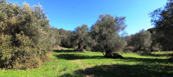 44000m² Hotel in Corfu, Greece No. 6427 2