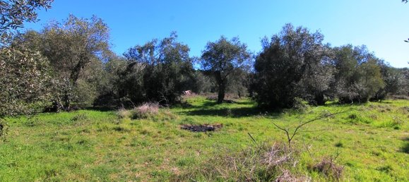 44000m² Hotel in Corfu, Greece No. 6427 5