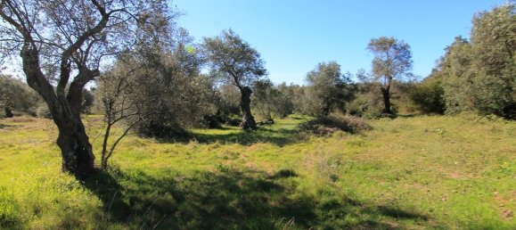 44000m² Hotel in Corfu, Greece No. 6427 4