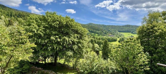 7 rooms Castles in Anger, Austria No. 176098 30