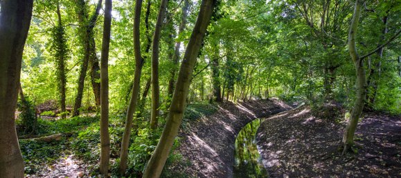 Edifício de 6 divisões em Moabit, Germany N.º 38571 16