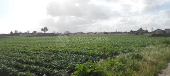  Land in Montijo, Portugal No. 43569 3