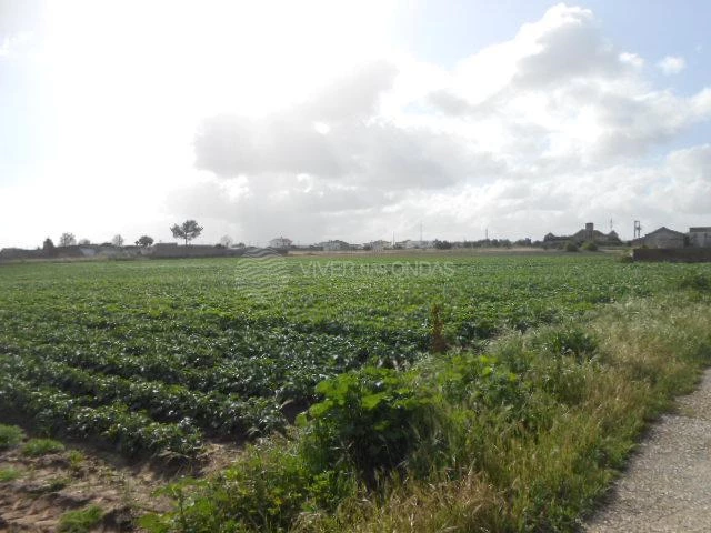  Land in Montijo, Portugal No. 43569