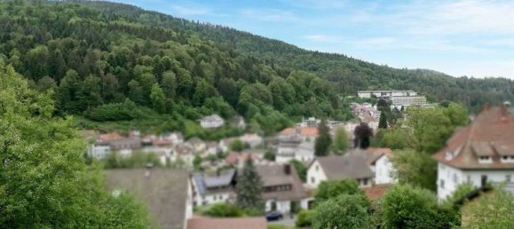 Apartamento de 1 dormitorio en Calw, Germany No. 38834 15