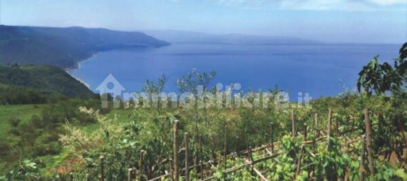 7 bedrooms Villa in Bivongi, Italy No. 340084 8