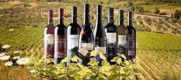 7 bedrooms Villa in Bivongi, Italy No. 340084 9