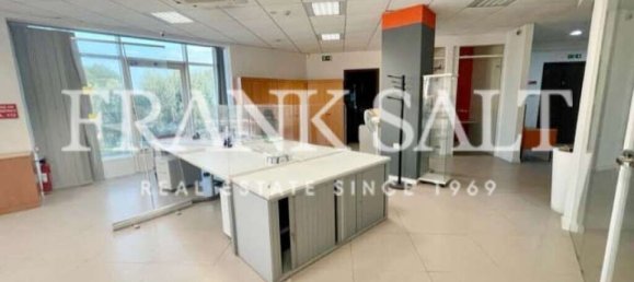780m² Office in Qormi, Malta No. 12366 14